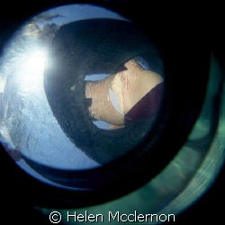 . by Helen Mcclernon 